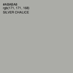 #ABABA8 - Silver Chalice Color Image